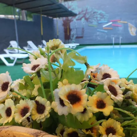 Avalon Hotel Kusadası