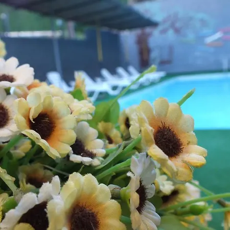 Avalon 호텔 쿠사다시