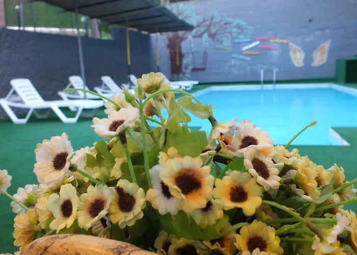 Avalon Отель Кушадасы